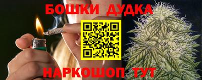 ешки Кингисепп