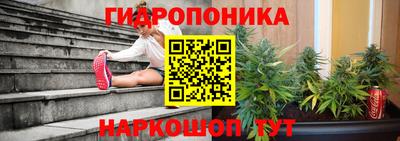 сатива Кимры