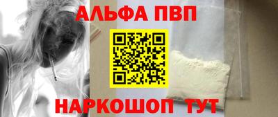 ешки Кингисепп
