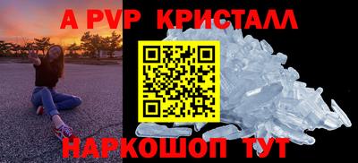 ешки Кингисепп