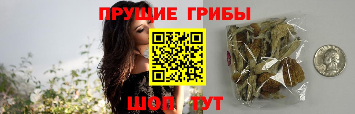 Псилоцибиновые грибы ЛСД Карачаевск